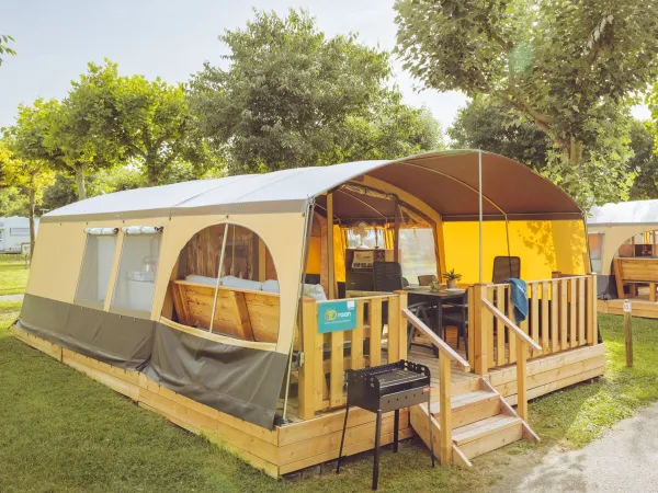 Lodge tent online