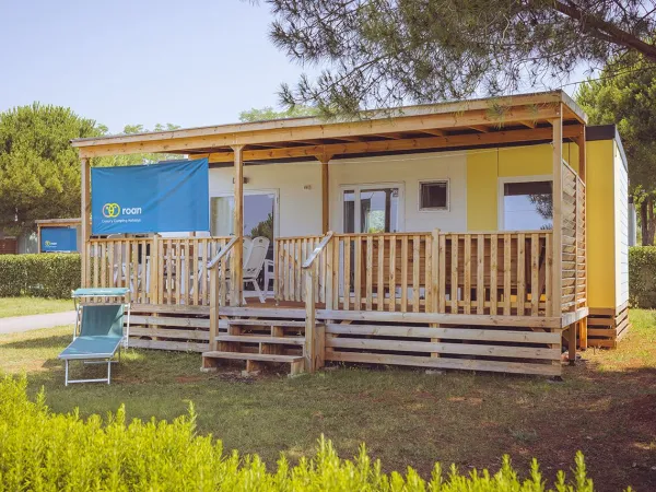 The Comfort Plus Lounge by Roan.