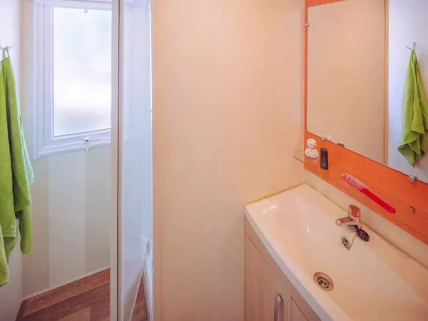 Roan Comfort Plus Lounge bathroom with shower and sink.