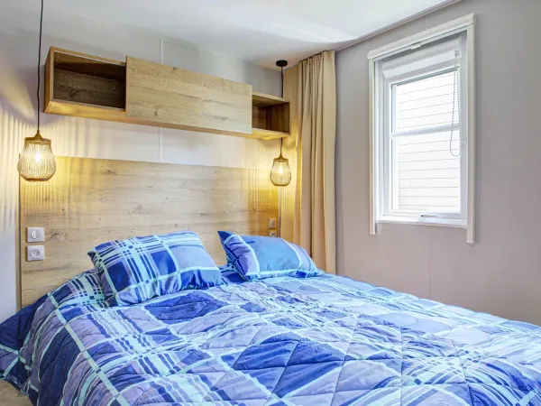 Comfort Plus 5