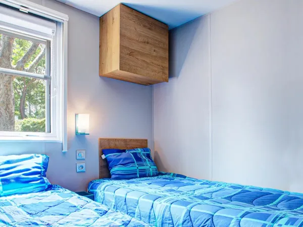 Comfort Plus 6
