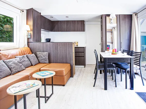 Comfort Plus 2