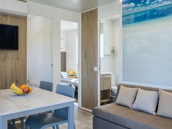 The Roan Premium zone living room has air conditioning and satellite TV.