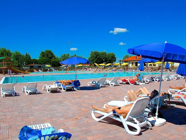 Sunbeds by the pool at Roan camping Del Garda.