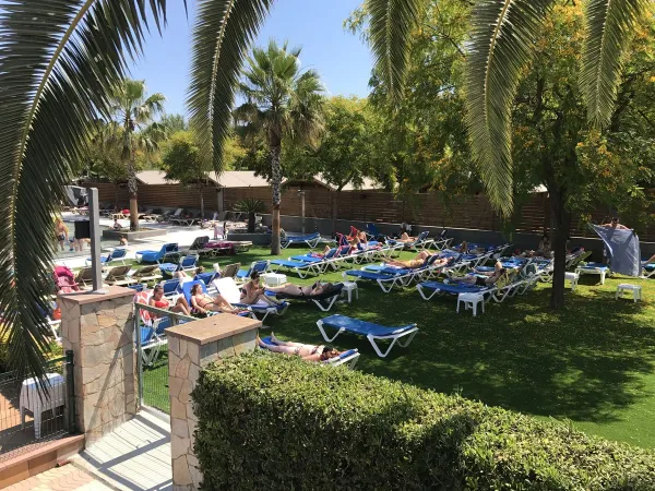 Grassy sunbathing area by the pool at Roan camping La Masia.