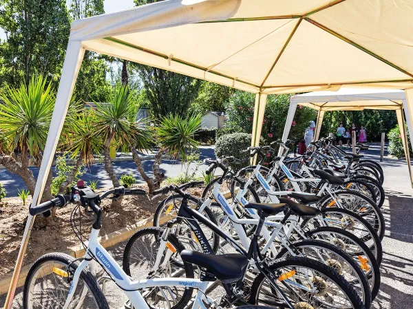 Bicycles for rent at Roan camping Les Sablines.