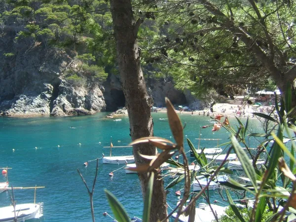 Small beach by rocks near Roan camping Playa Brava.