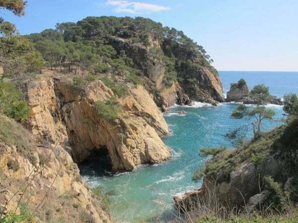 Rocky coast at Roan camping Playa Brava.