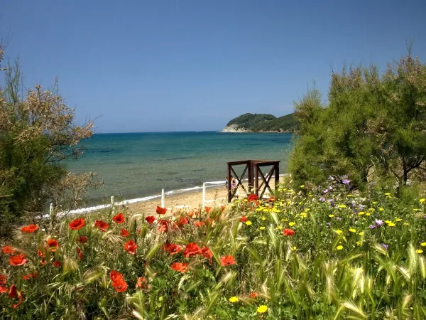 Beach and sea close to Roan camping Park Albatros.