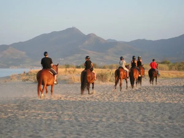 Horseback riding near Roan camping La Sirène.