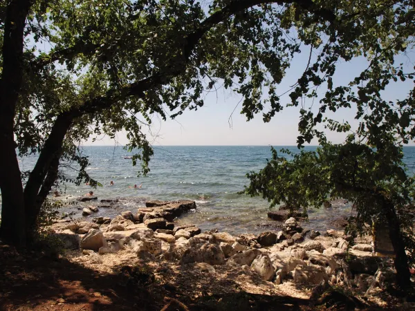 The coast at Roan camping Park Umag.