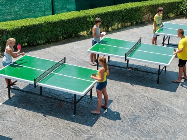 Table tennis at Roan camping Playa Montroig.