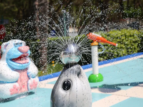 Pool objects at Roan camping Sant Angelo.