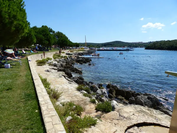 Grassy sunbathing lawn by the sea at Roan camping Valkanela.