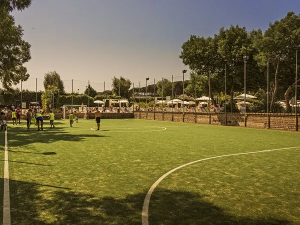 Football pitch at Roan hu Fabulous village.