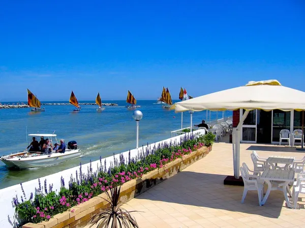 Terraces along the sea at Roan camping Rubicone.