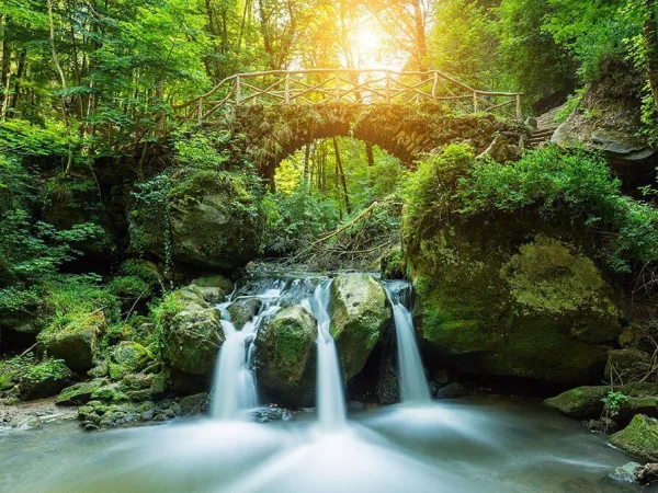 Beautiful surroundings close to Roan camping hu Birkelt village.