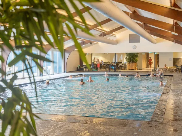 Indoor pool at Roan camping De Twee Bruggen.