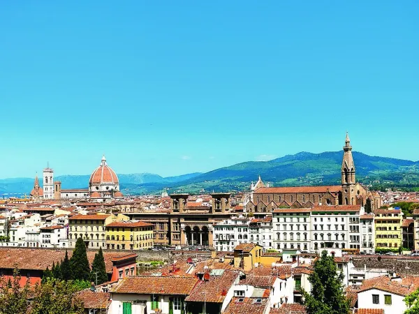 City of Siena near Roan camping Montescudaio.