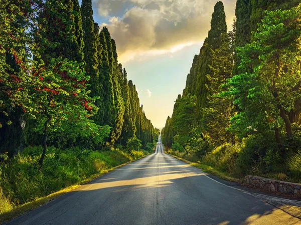 Scenic car drive close to Roan camping Le Capanne.