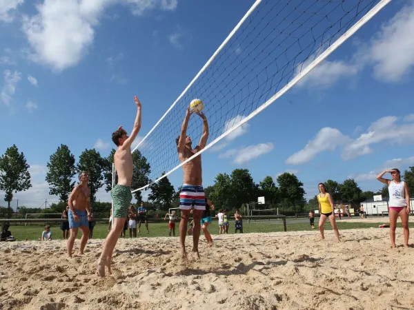 Beach volleyball at Roan camping Le Vieux Port.