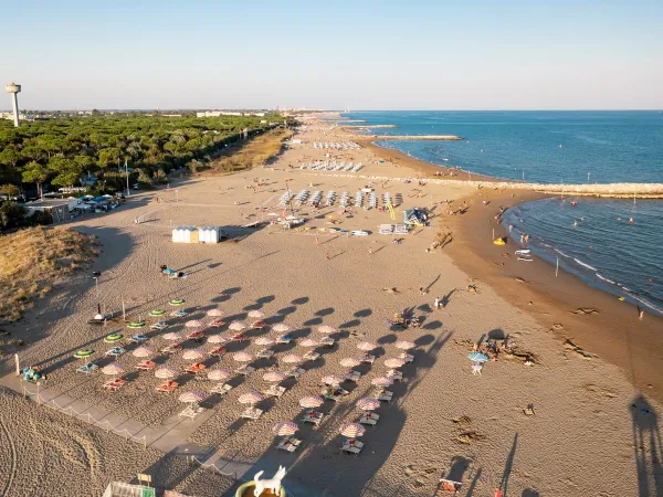 Sunbeds on the beach at Roan camping Union Lido.