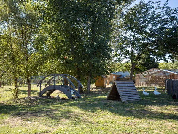 Surroundings at Roan accommodations at campsite La Sardane.