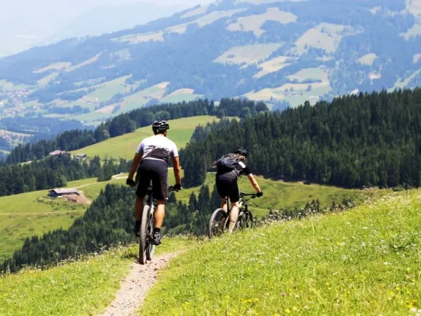 Mountain biking near Roan camping Lido Verbano.