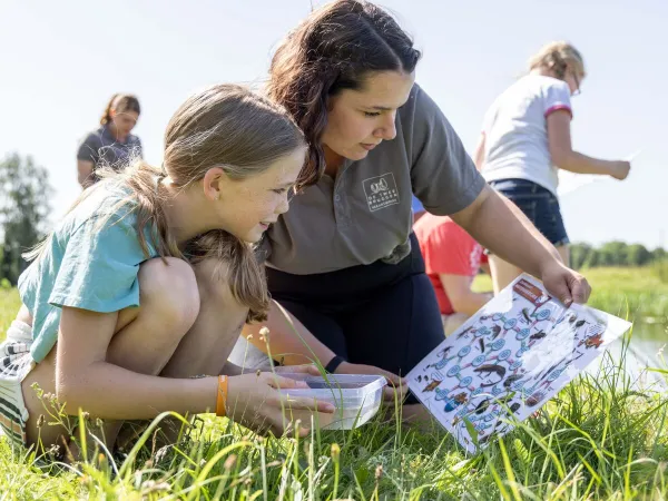 Scavenger hunt at Roan campsite De Twee Bruggen.