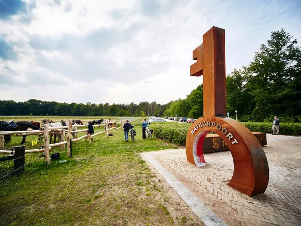 Nature gate at Roan camping Terspegelt.