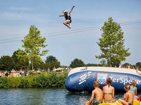 Blobs at Roan camping Terspegelt.