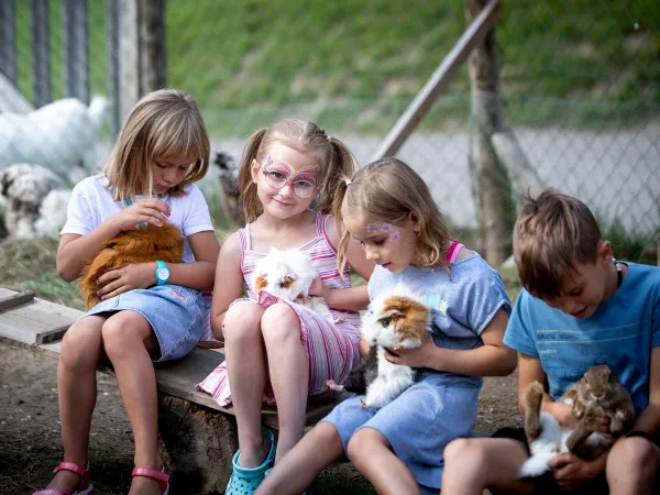 Animal fun at Roan camping Bella Austria.