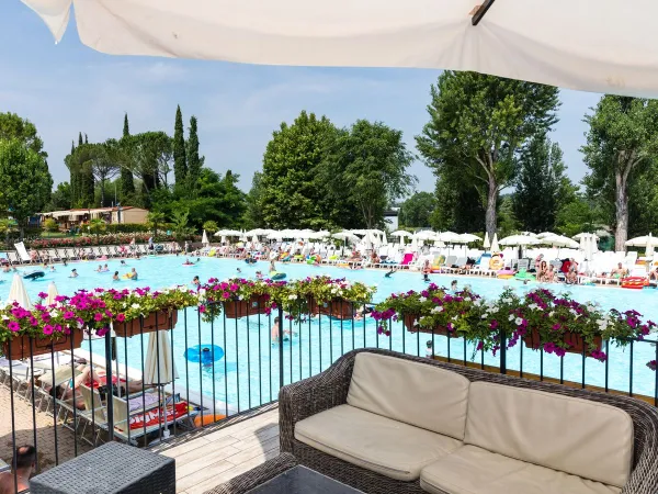 Bar terrace overlooking the pool at Roan camping Altomincio.