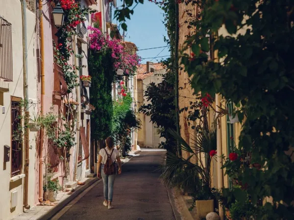 Street in the city of Perpignon.