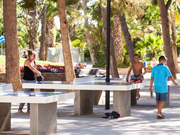 Table tennis at Roan camping Vilanova Park.