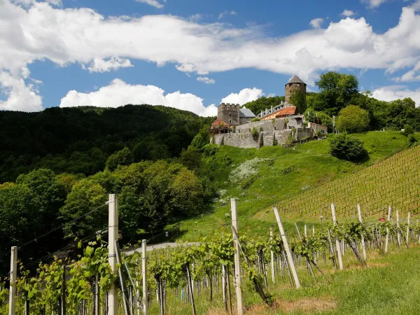 A castle near Roan camping Bella Austria.