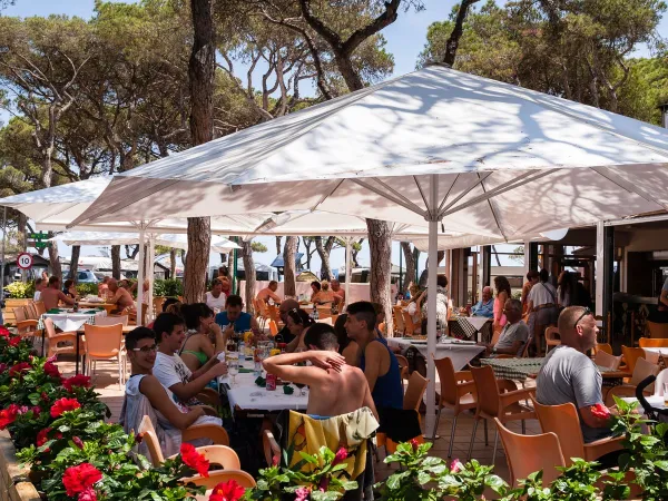 A full terrace at Roan Camping El Pinar.