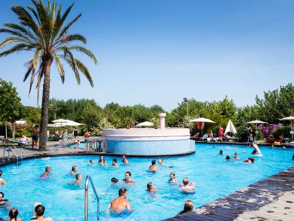 People are having fun in the pool at Roan Camping El Pinar.