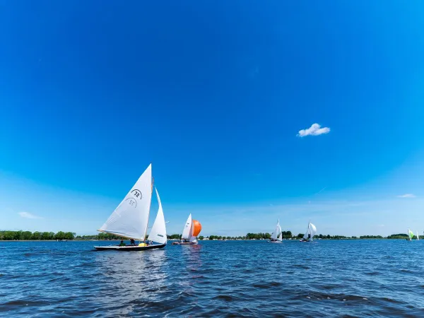 Boat on the Slotermeer lake at Roan camping Marvilla Parks Frisian Lakes.