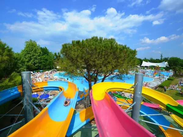 Water slides in pool at Roan camping Bella Italia.