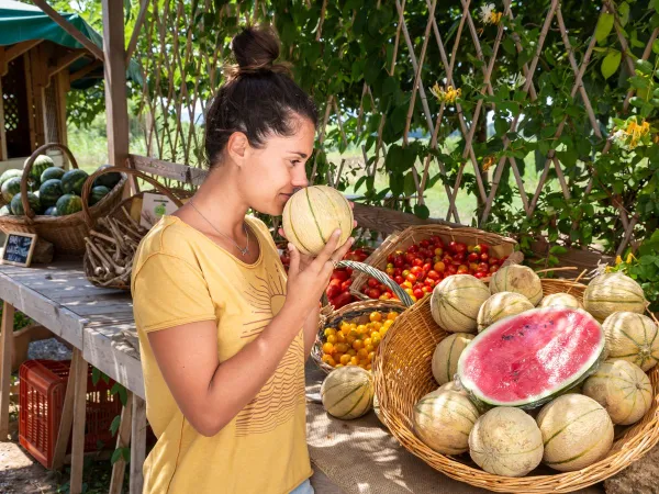 Fresh fruit at Roan camping Park Albatros.