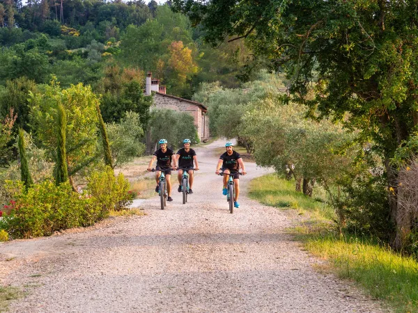 Mountain biking near Roan camping hu Norcenni Girasole village.