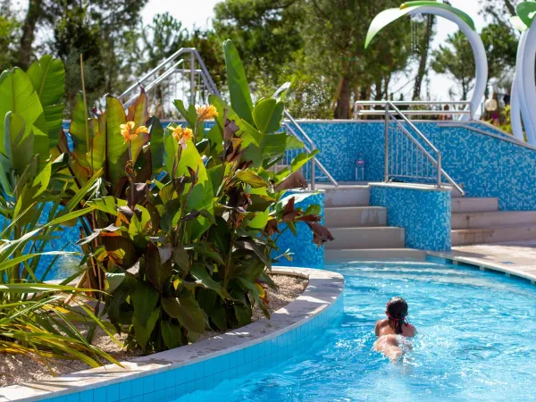 Partial pool at Roan camping Mediterraneo.