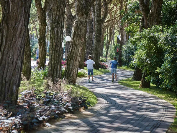 Hiking trail at Roan camping Mediterraneo.