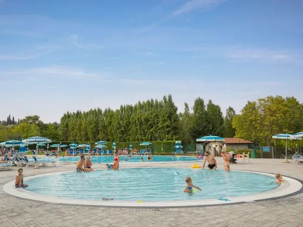 Lively swimming pool at Roan camping Piantelle.