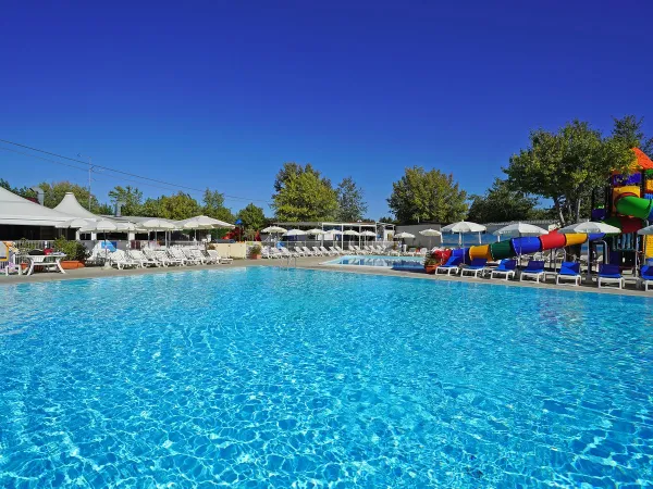 The swimming pool at Roan Camping Butterfly.