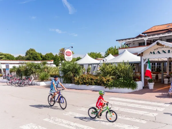 Cycling children at Roan camping San Francesco.