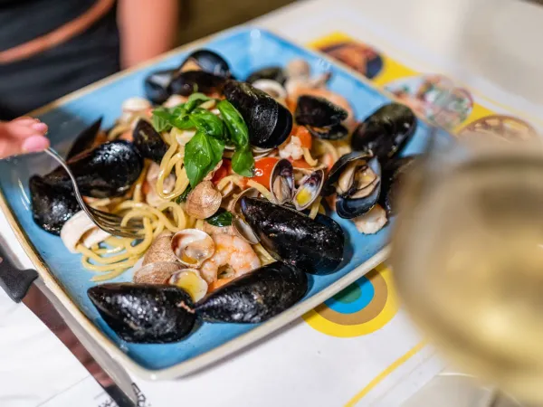 Court with mussels at Roan camping Du Verdon.