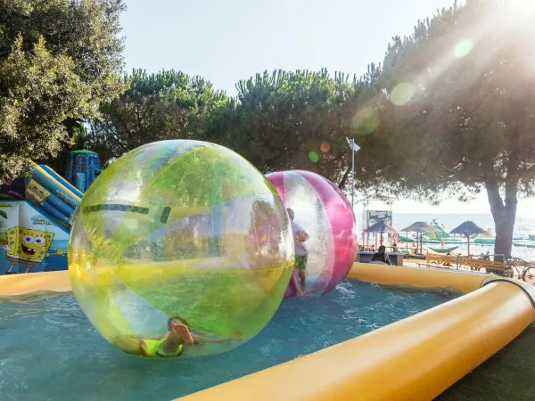 Aquabubble activity at Roan camping Park Umag