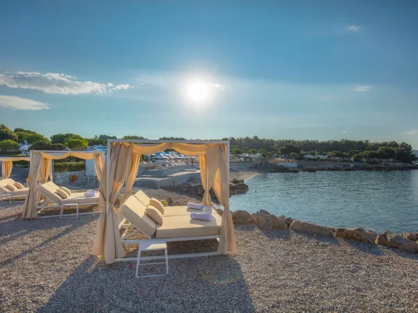 Luxury sunbeds by the beach at Roan camping Krk Camping Resort.